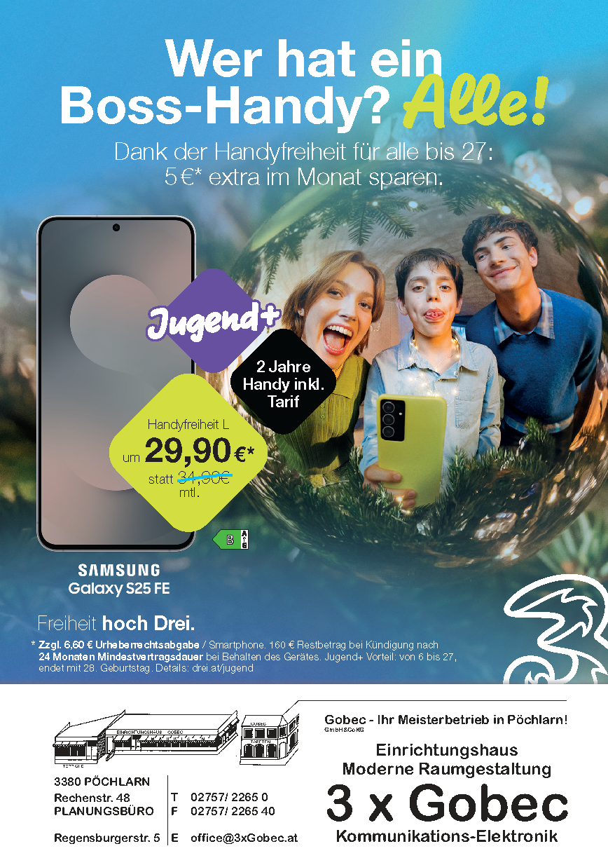 Drei BestPartner XMAS Flyer Gobec